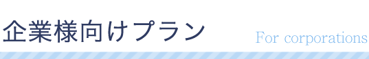 企業様向けプラン